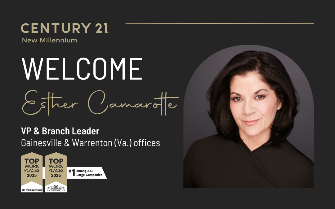 Esther Camarotte Appointed as Vice President & Branch Leader of Gainesville & Warrenton (Va.) Offices